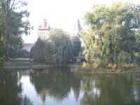 Pond and buildings in city park