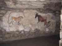 Primitive drawings of animals on wall