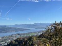 View from Uetliberg