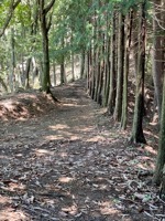 On trail to Mount Mitsutoge