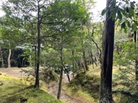 Ginkaku-ji (Silver Pavilion)