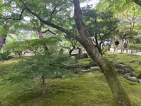 Ginkaku-ji (Silver Pavilion)