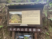 Sagano Bamboo Forest