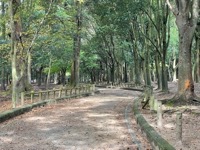 Nara Park