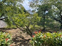 Himeji Castle