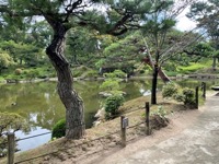 Shukkei-en Garden