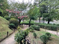 Shukkei-en Garden