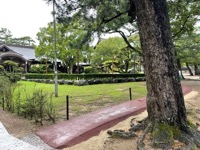 Izumo Taisha Shrine