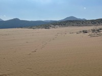 Tottori Sand Dunes