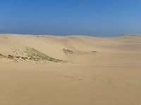 Tottori Sand Dunes