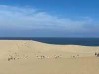 Tottori Sand Dunes