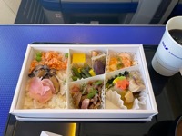 ANA airplane lunch