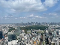 View from Shibuya Sky