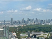 View from Shibuya Sky