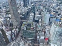 View from Shibuya Sky