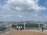 View from Shibuya Sky