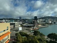 Wellington from museum