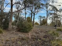 Coal mine site