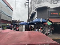Part of a large market in Iquitos