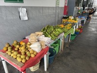 Indiana market