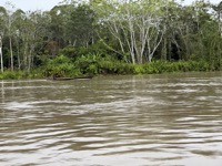 Napo river