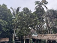 ExplorNapo Lodge