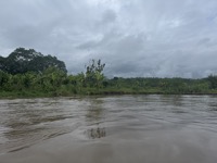 Cruising on the Amazon