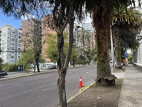 Quito