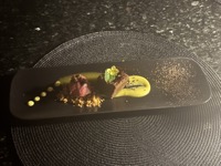 Cacao, bananas, blood berry, passion fruit: chocolate brownie, banana purée, banana peel, blackberry mousse, passion fruit sauce