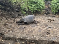 At Galápagos National Park