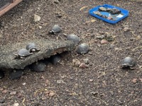 At Galápagos National Park