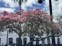 Plaza de la Independencia